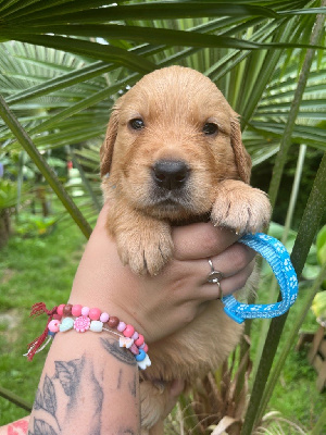 Monsieur bleu clair 