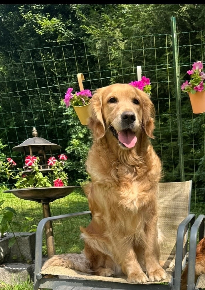 u'nala amazing love A Star Is Born