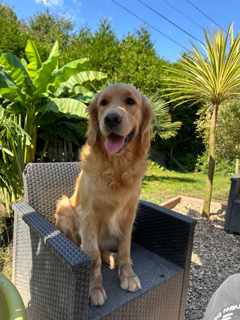 Nala